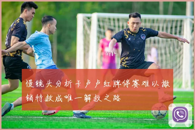 慢镜头分析卡卢卢红牌停赛难以撤销特赦成唯一解救之路