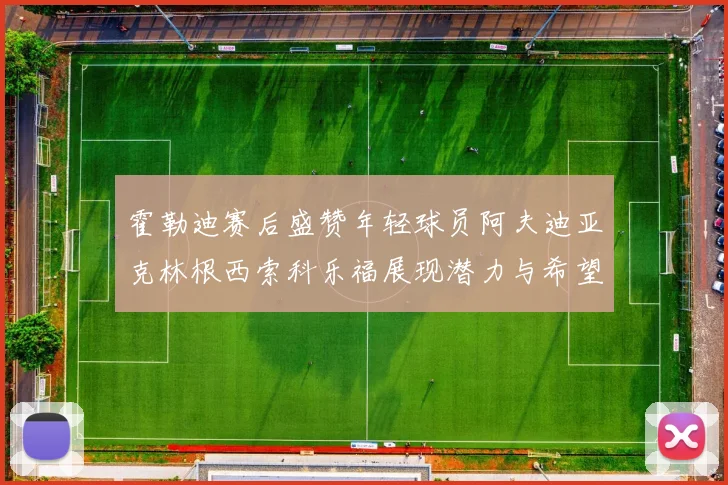 霍勒迪赛后盛赞年轻球员阿夫迪亚克林根西索科乐福展现潜力与希望