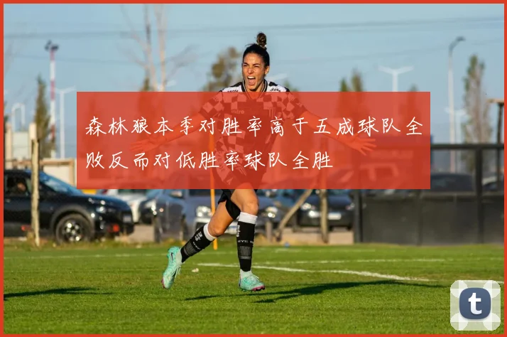 森林狼本季对胜率高于五成球队全败反而对低胜率球队全胜