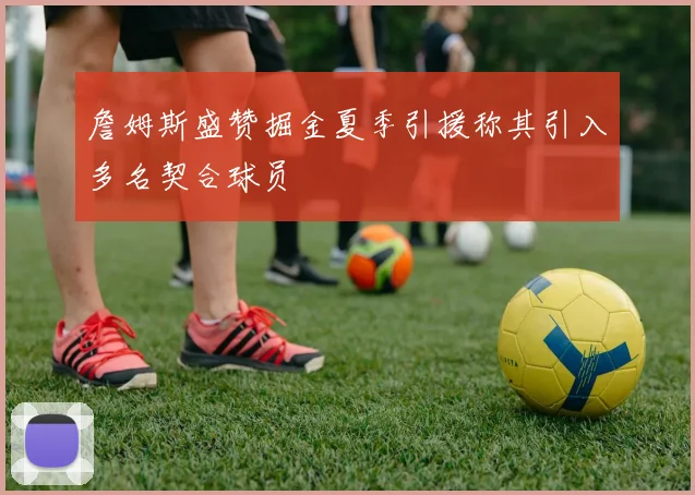 詹姆斯盛赞掘金夏季引援称其引入多名契合球员